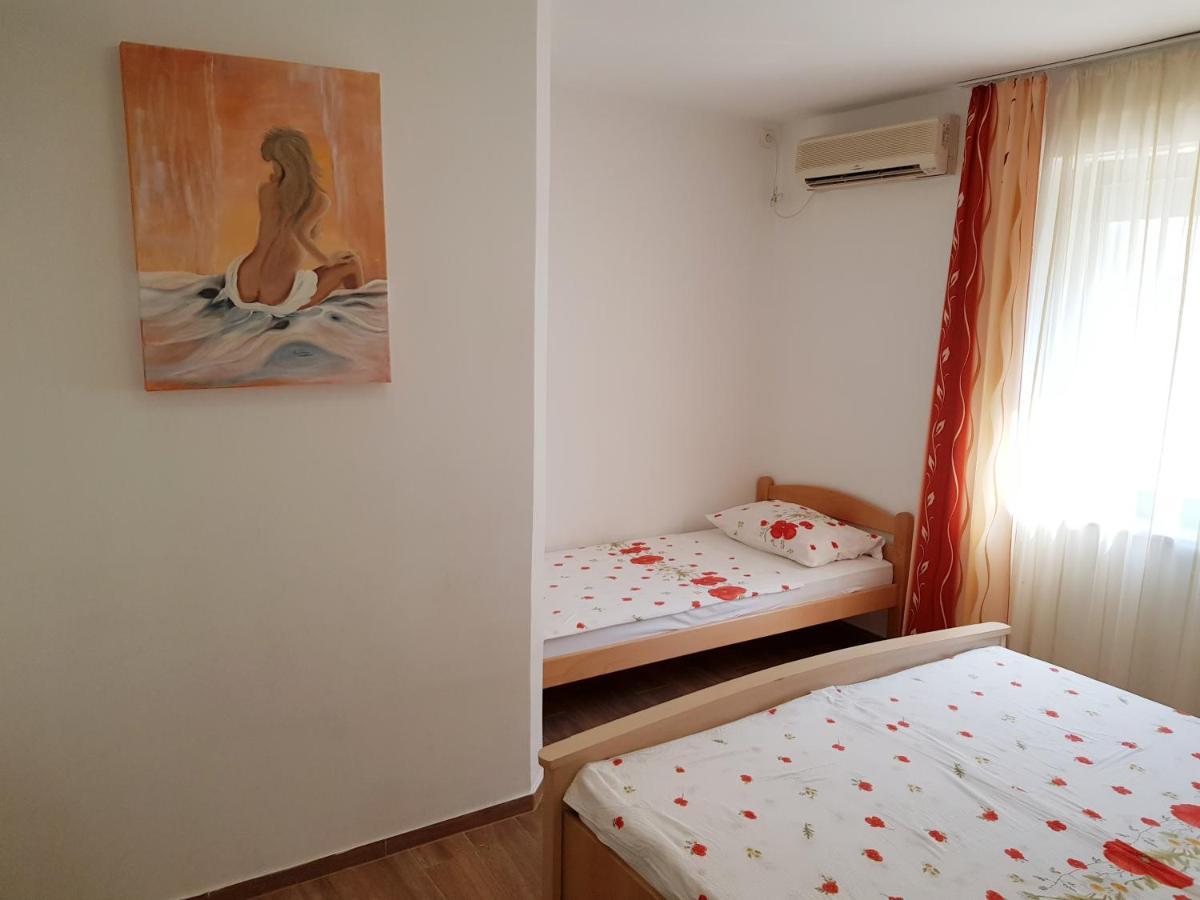 Apartments Vila Tisa マリ・ロシニュ エクステリア 写真