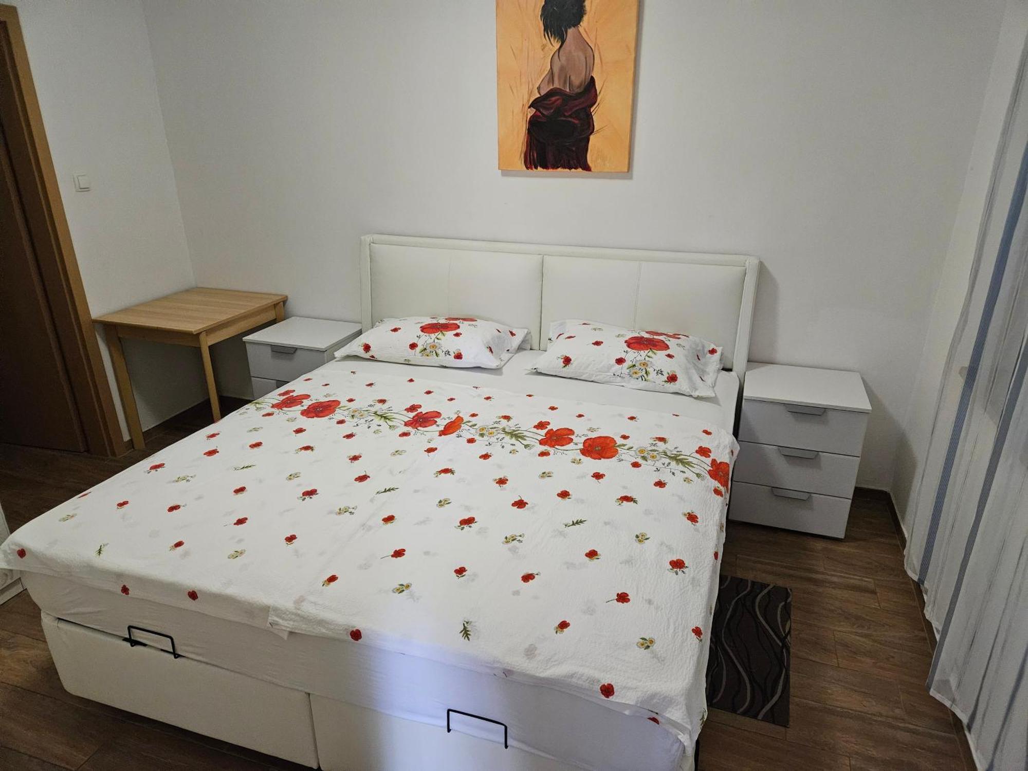 Apartments Vila Tisa マリ・ロシニュ エクステリア 写真