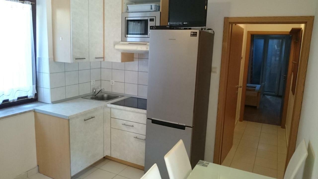 Apartments Vila Tisa マリ・ロシニュ エクステリア 写真