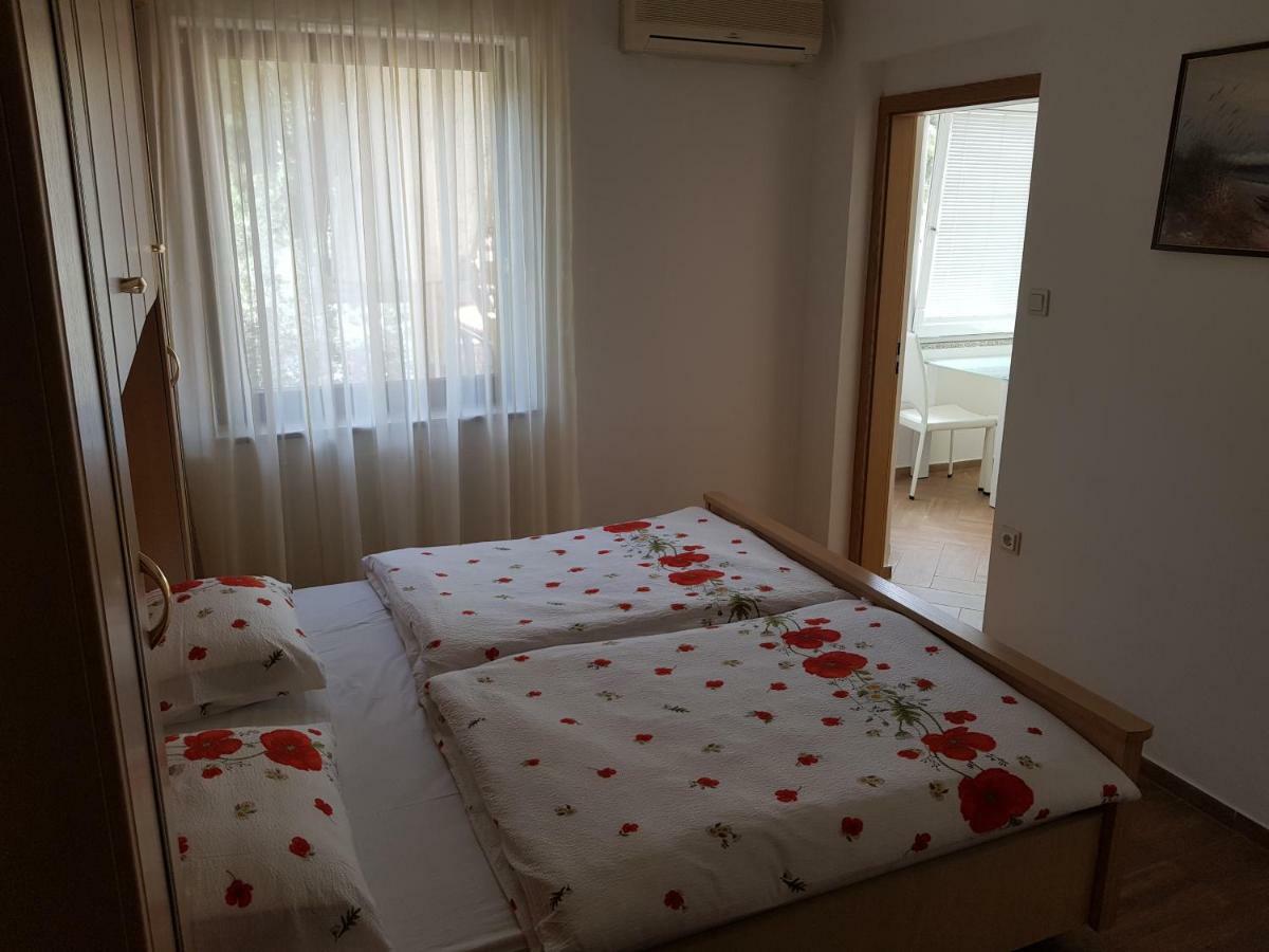 Apartments Vila Tisa マリ・ロシニュ エクステリア 写真
